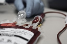 Infuze a transfuze u dospělých